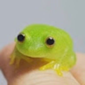 Meet your Posher, Maximo